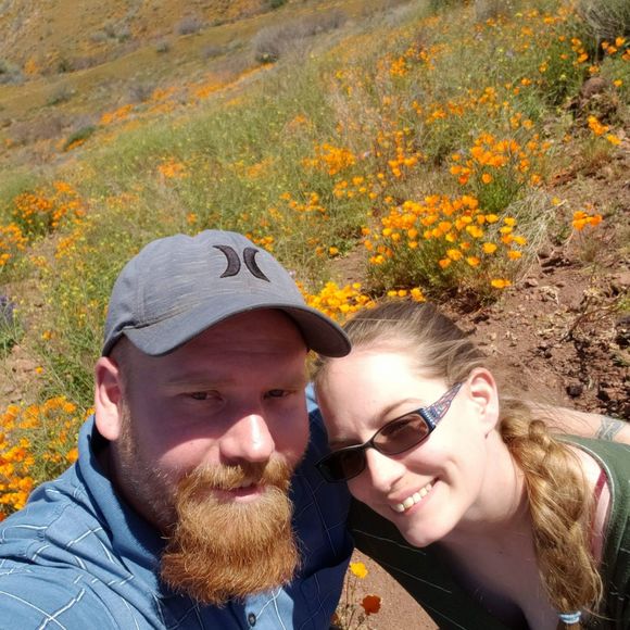 Meet your Posher, Lexis - Picture 1 of 1